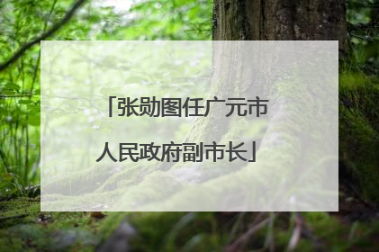 张勋图任广元市人民政府副市长