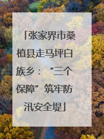 张家界市桑植县走马坪白族乡：“三个保障”筑牢防汛安全堤