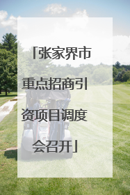 张家界市重点招商引资项目调度会召开