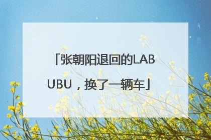 张朝阳退回的LABUBU，换了一辆车