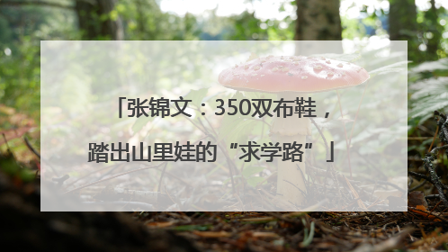张锦文：350双布鞋，踏出山里娃的“求学路”