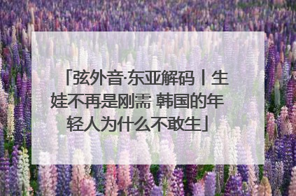 弦外音·东亚解码丨生娃不再是刚需 韩国的年轻人为什么不敢生