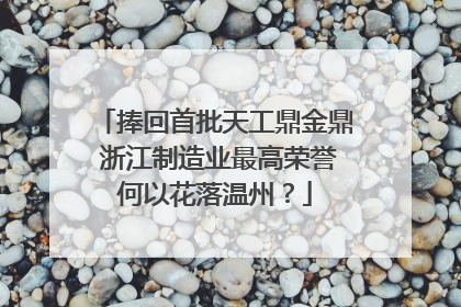 捧回首批天工鼎金鼎 浙江制造业最高荣誉何以花落温州？
