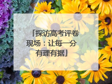 探访高考评卷现场：让每一分有理有据