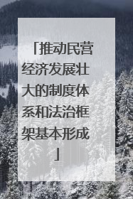 推动民营经济发展壮大的制度体系和法治框架基本形成