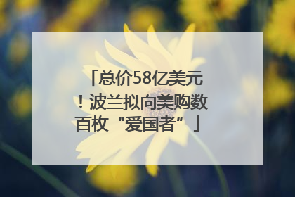 总价58亿美元！波兰拟向美购数百枚“爱国者”