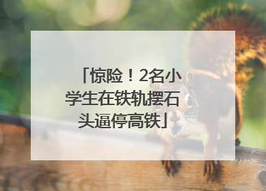 惊险！2名小学生在铁轨摆石头逼停高铁