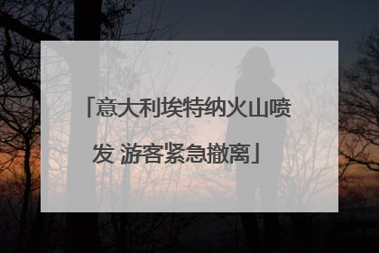 意大利埃特纳火山喷发 游客紧急撤离