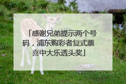 感谢兄弟提示两个号码，浦东购彩者复式票喜中大乐透头奖