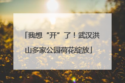 我想“开”了！武汉洪山多家公园荷花绽放