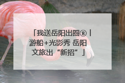 我送岳阳出圈⑧丨游船+光影秀 岳阳文旅出“新招”