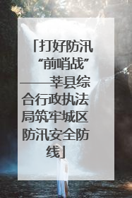 打好防汛“前哨战”——莘县综合行政执法局筑牢城区防汛安全防线