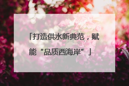 打造供水新典范，赋能“品质西海岸”
