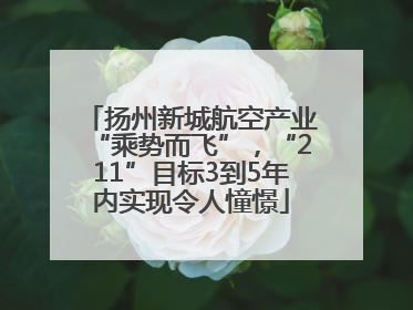 扬州新城航空产业“乘势而飞”，“211”目标3到5年内实现令人憧憬