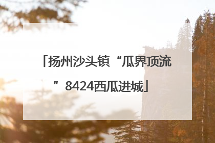 扬州沙头镇“瓜界顶流”8424西瓜进城