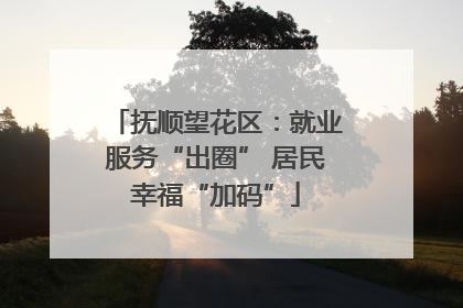抚顺望花区：就业服务“出圈” 居民幸福“加码”
