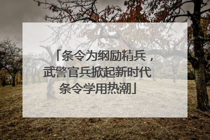 条令为纲励精兵，武警官兵掀起新时代条令学用热潮