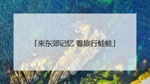 来东郊记忆 看旅行蛙蛙
