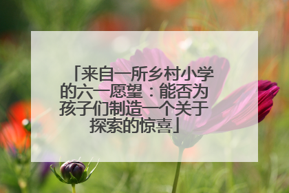 来自一所乡村小学的六一愿望：能否为孩子们制造一个关于探索的惊喜