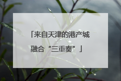来自天津的港产城融合“三重奏”