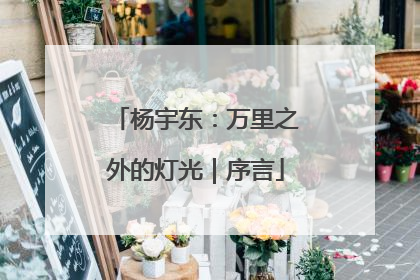杨宇东：万里之外的灯光｜序言