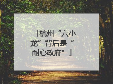 杭州“六小龙”背后是“耐心政府”