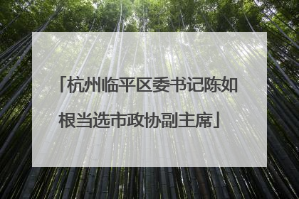 杭州临平区委书记陈如根当选市政协副主席