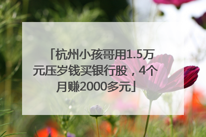 杭州小孩哥用1.5万元压岁钱买银行股，4个月赚2000多元