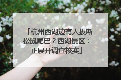 杭州西湖边有人拔断松鼠尾巴？西湖景区：正展开调查核实