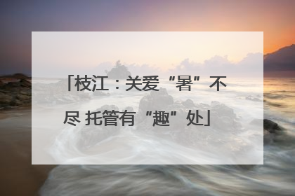 枝江：关爱“暑”不尽 托管有“趣”处