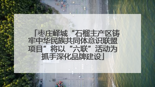 枣庄峄城“石榴主产区铸牢中华民族共同体意识联盟项目”将以“六联”活动为抓手深化品牌建设