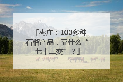 枣庄：100多种石榴产品，靠什么“七十二变”？