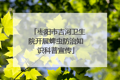 枣阳市吉河卫生院开展蜱虫防治知识科普宣传