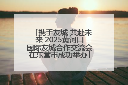 携手友城 共赴未来 2025黄河口国际友城合作交流会在东营市成功举办