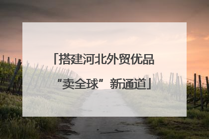 搭建河北外贸优品“卖全球”新通道