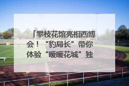 攀枝花馆亮相西博会！“豹局长”带你体验“暖暖花城”独特魅力｜西博视界
