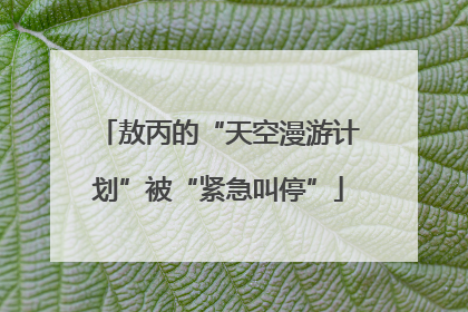 敖丙的“天空漫游计划”被“紧急叫停”