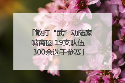 散打“武”动陆家嘴商圈 19支队伍300余选手参赛