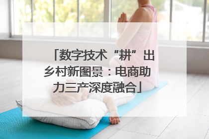 数字技术“耕”出乡村新图景：电商助力三产深度融合