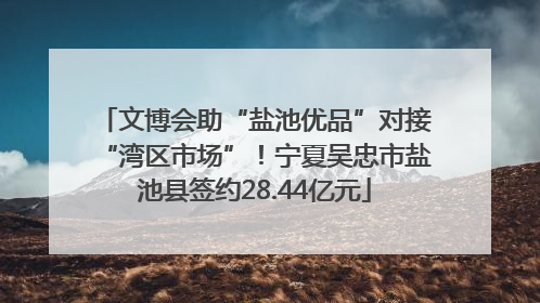 文博会助“盐池优品”对接“湾区市场”！宁夏吴忠市盐池县签约28.44亿元