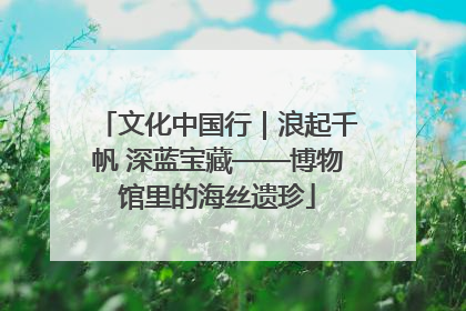 文化中国行｜浪起千帆 深蓝宝藏——博物馆里的海丝遗珍