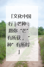 文化中国行｜芒种：愿你“芒”有所获，“种”有所得