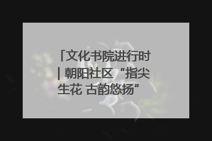 文化书院进行时｜朝阳社区“指尖生花 古韵悠扬”公益课堂开课了