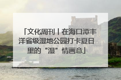 文化周刊丨在海口潭丰洋省级湿地公园打卡夏日里的“湿”情画意
