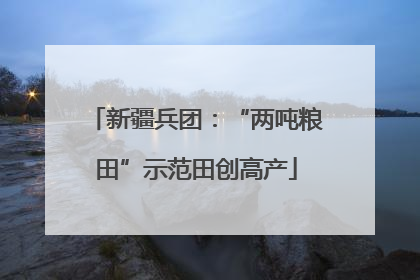 新疆兵团：“两吨粮田”示范田创高产