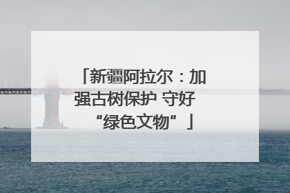 新疆阿拉尔：加强古树保护 守好“绿色文物”
