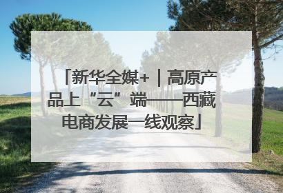 新华全媒+｜高原产品上“云”端——西藏电商发展一线观察