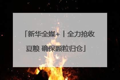 新华全媒+丨全力抢收夏粮 确保颗粒归仓