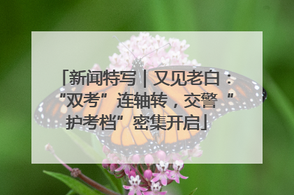 新闻特写｜又见老白：“双考”连轴转，交警“护考档”密集开启