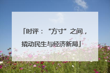 时评：“方寸”之间，撬动民生与经济新局